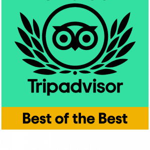 TC_2021_BOTB_LL_GREEN_BG-01 Best of the Best – Travellers’ Choice 2021 Awards