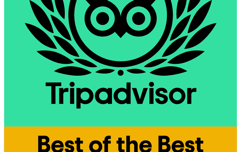 TC_2021_BOTB_LL_GREEN_BG-01 Best of the Best – Travellers’ Choice 2021 Awards