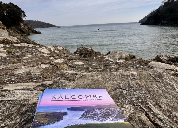 Beautiful coastal scene with Salcombe tourism brochure. Overlooking the sea in North Sands.