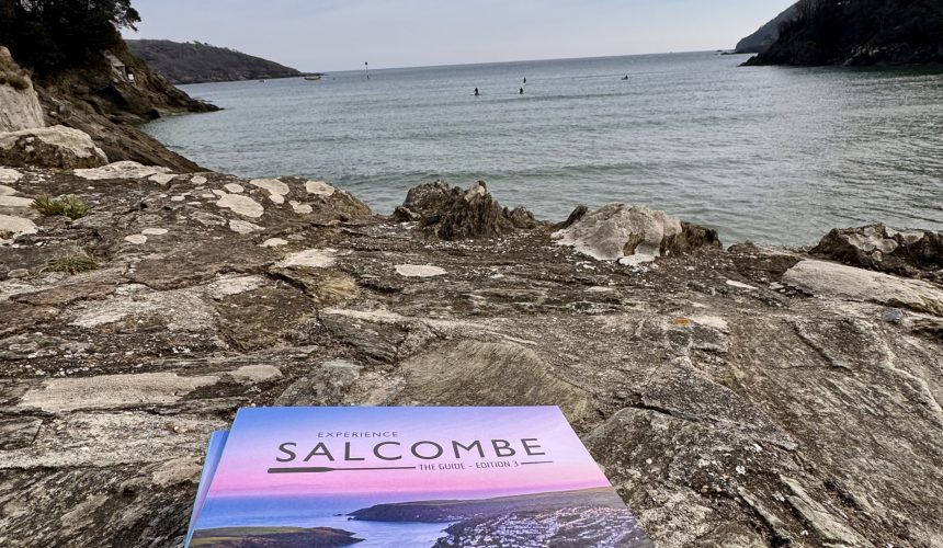 Discover the Best Beaches in and Around Salcombe, Devon