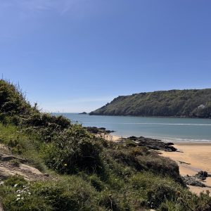 Gara Rock Coastal Walk from Salcombe: A Dog-Friendly South West Coast Path Adventure