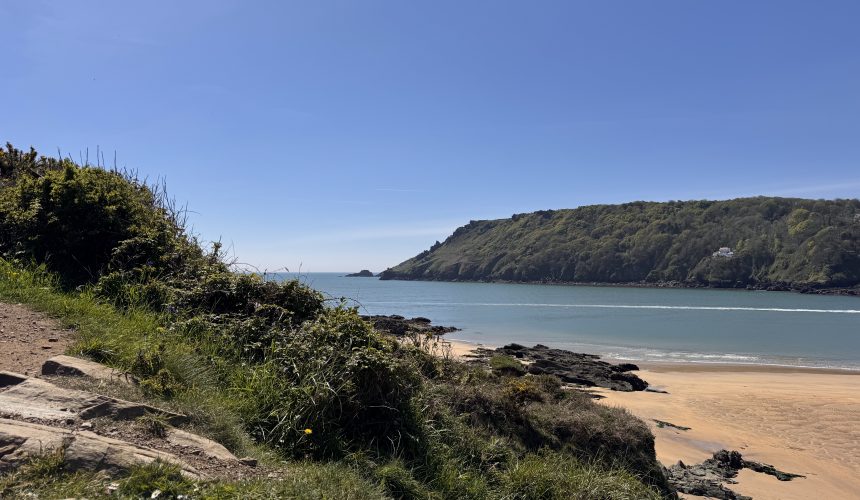 Gara Rock Coastal Walk from Salcombe: A Dog-Friendly South West Coast Path Adventure